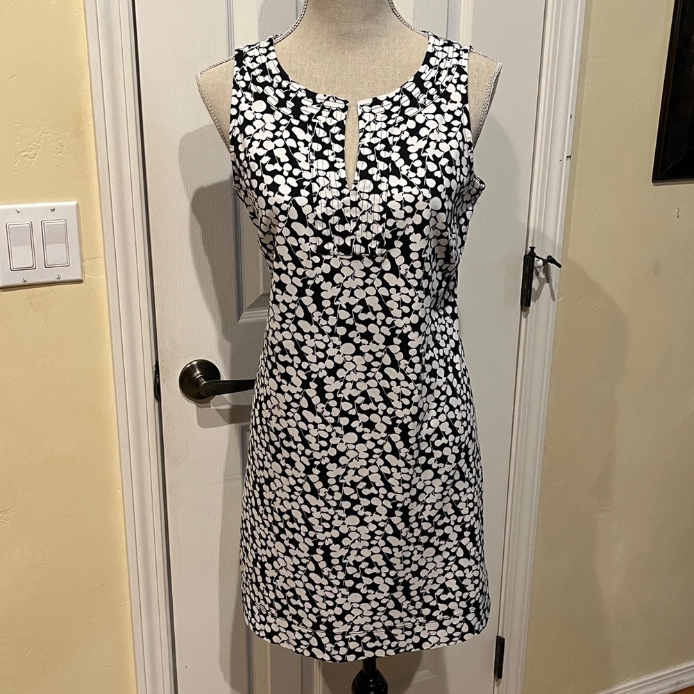 New York & Company Black & White Knit Shift Dress